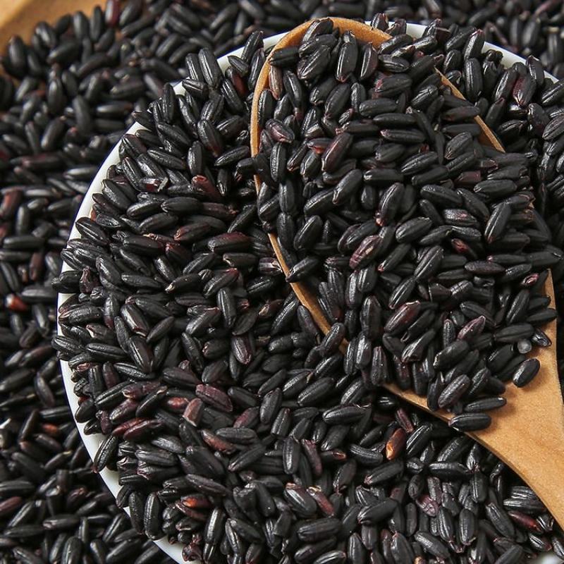 大米5斤新五常黑米东北农家黑紫血糯米香米甜品五谷黑米