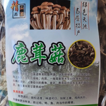 鹿茸菇