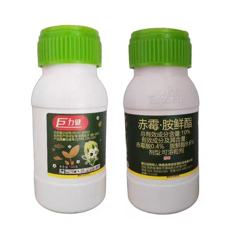 10%赤霉酸胺鲜酯白菜增产抗旱抗病调节生长剂