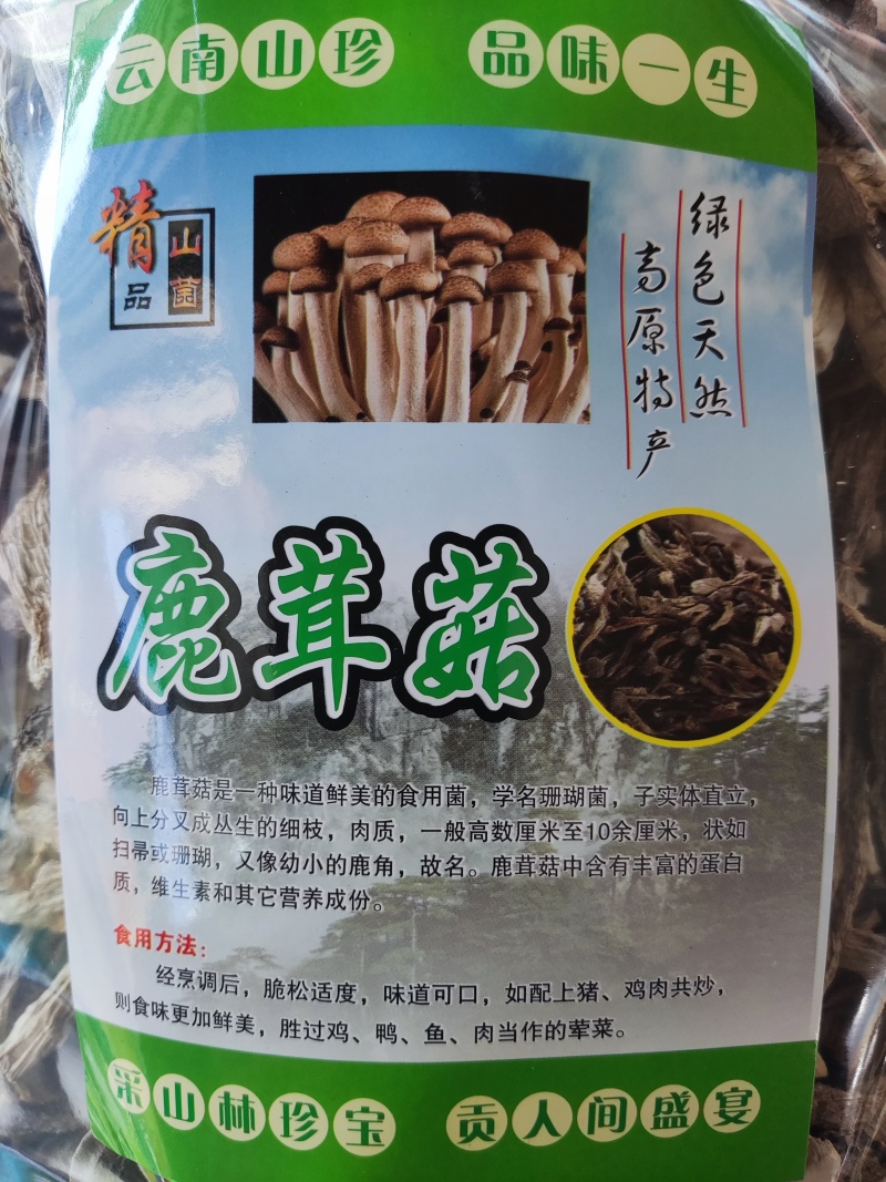 鹿茸菇