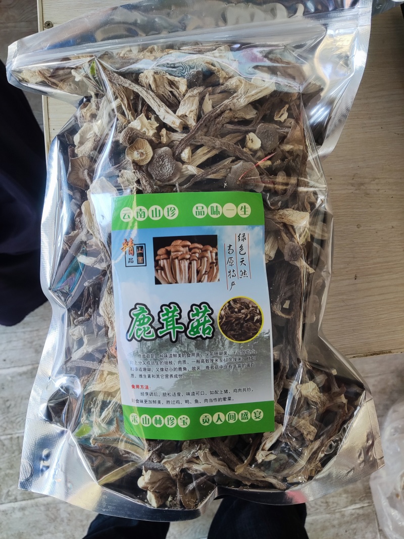 鹿茸菇
