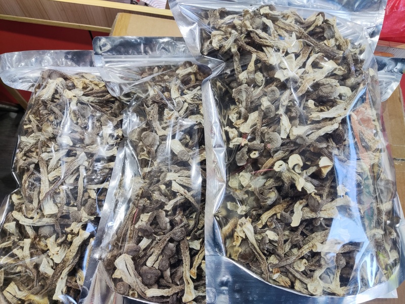 鹿茸菇