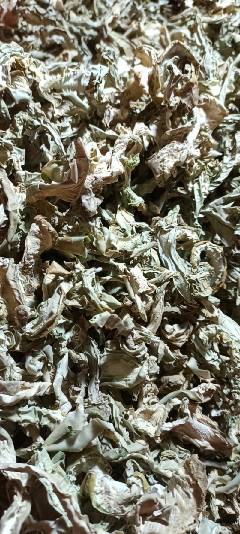 仙人掌茶干片仙人掌干条仙人掌茶药用仙人掌无硫自然晒干