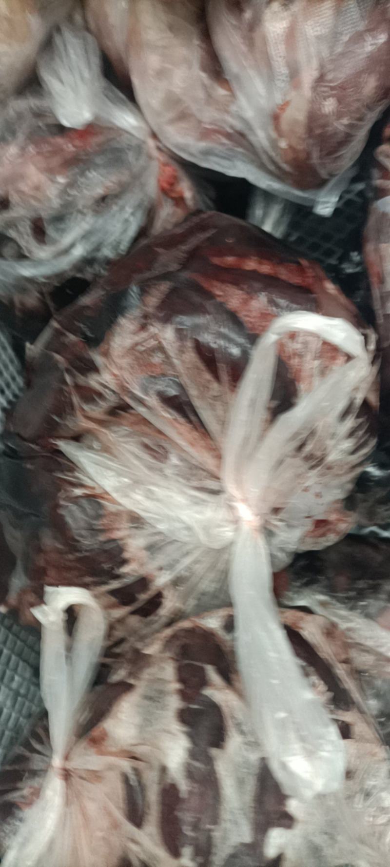 内蒙古锡林郭勒羔羊血肠，新鲜羊血灌注，纯手工灌。一袋二斤
