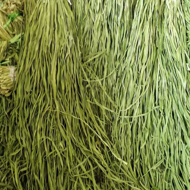 【精选】贡菜干贡菜产地直发货源充足全国接单量大优惠