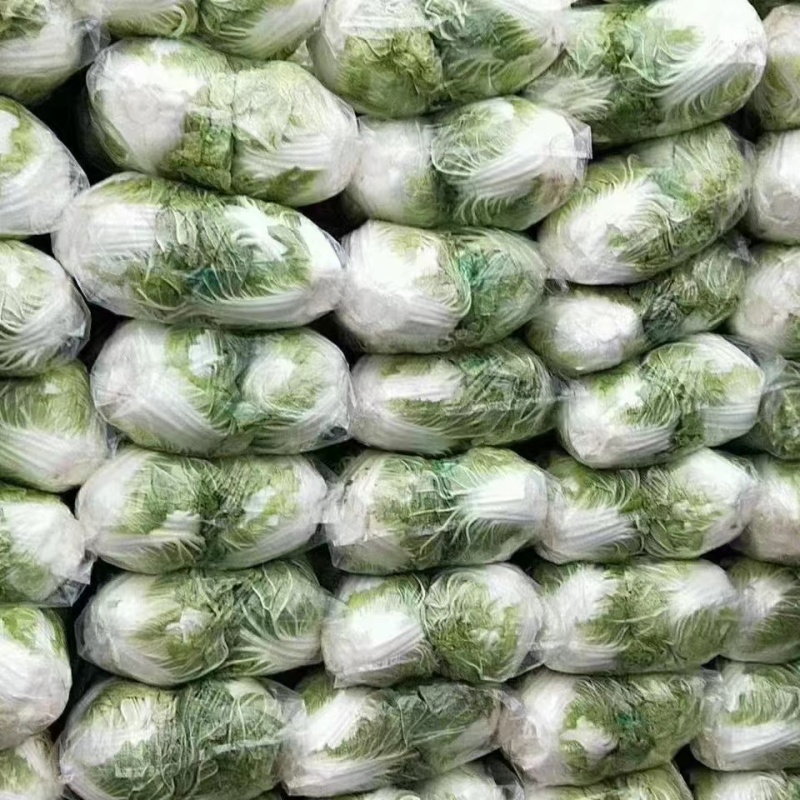精品大白菜净菜2~3斤欢迎询价产地直发电话联系