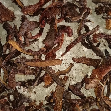 骨碎补（含量足）野生