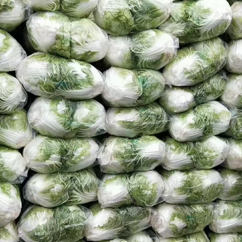 精品大白菜净菜2~3斤欢迎询价产地直发电话联系