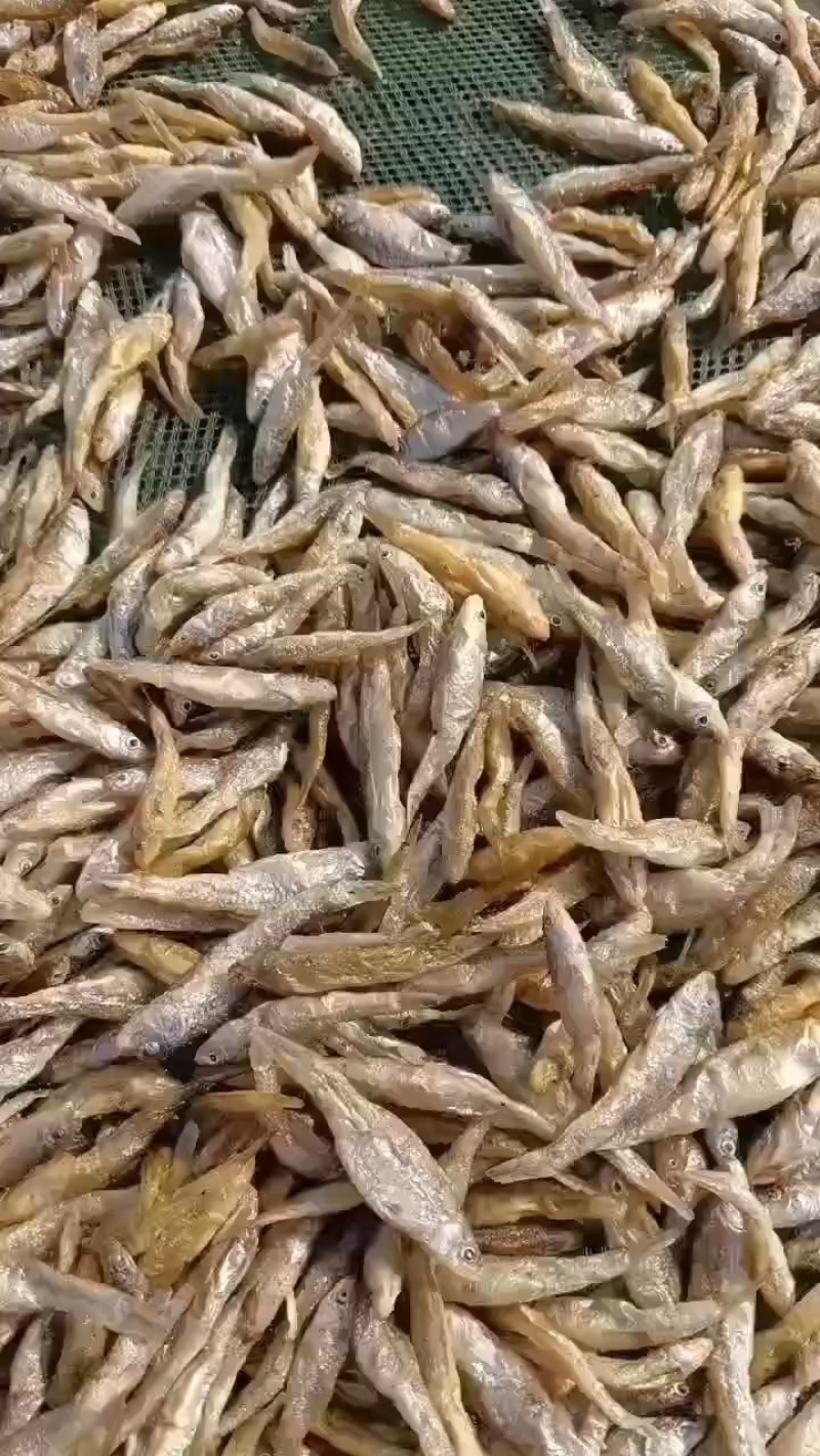 油炸麦穗鱼，无盐不苦的，质量好，价格便宜实惠，全干货，