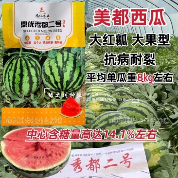 美都西瓜种子大果型鼎**都二号西瓜种子大红瓤西瓜种籽耐裂