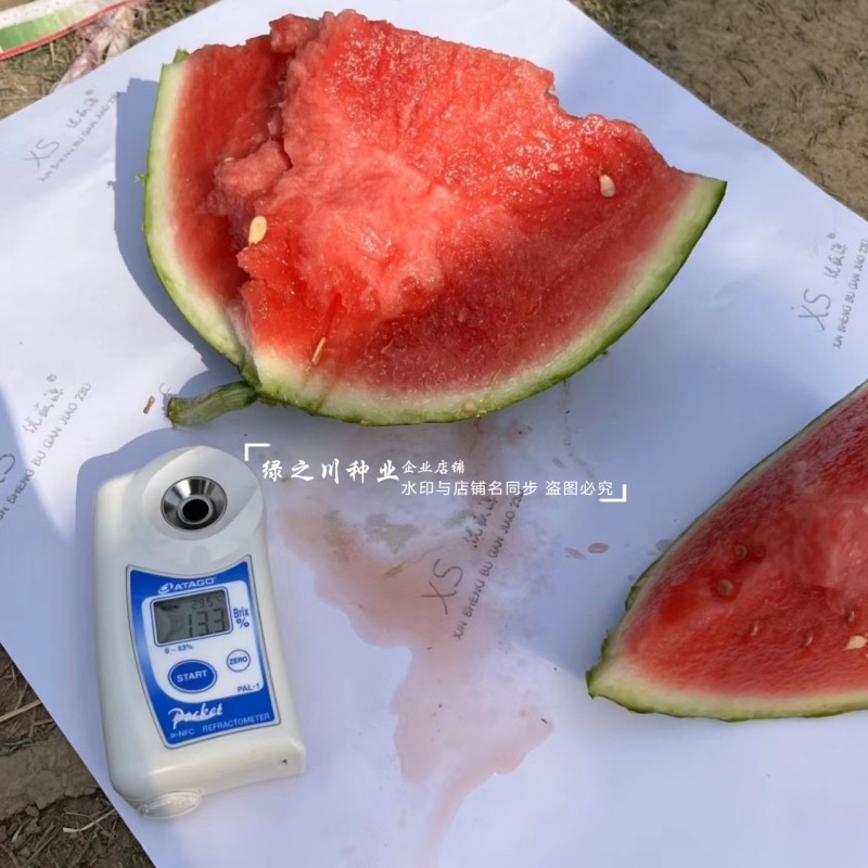 美都西瓜种子大果型鼎**都二号西瓜种子大红瓤西瓜种籽耐裂