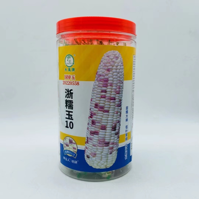 浙玉糯10玉米种子甜糯大棒型苞叶绿色玉米种子国审彩甜种子