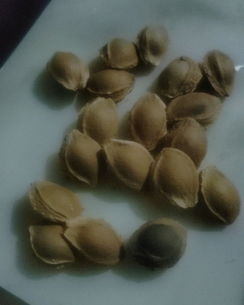 杏核自己家的量不多有要的联系