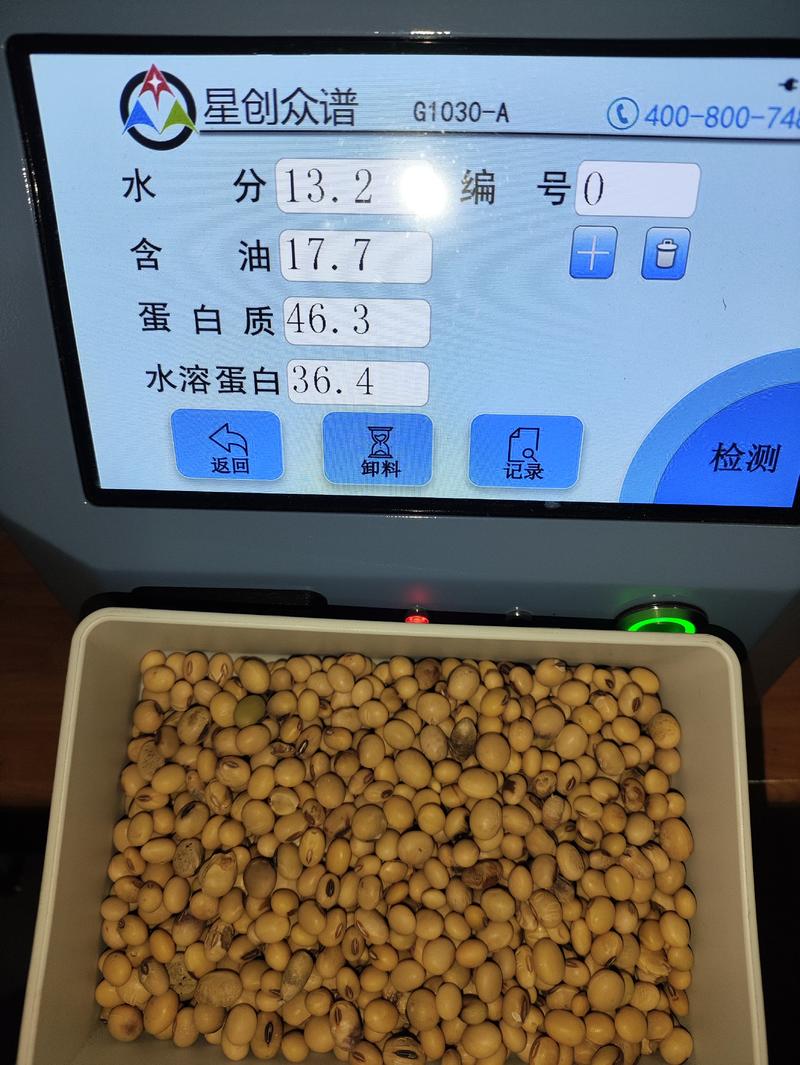重庆四川本地豆农家黄豆大豆高蛋白46-49豆腐专用豆
