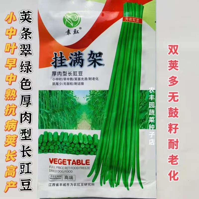挂满架豆角种子厚肉型长豇豆种子荚翠绿色荚长荚多长豆角蔬子