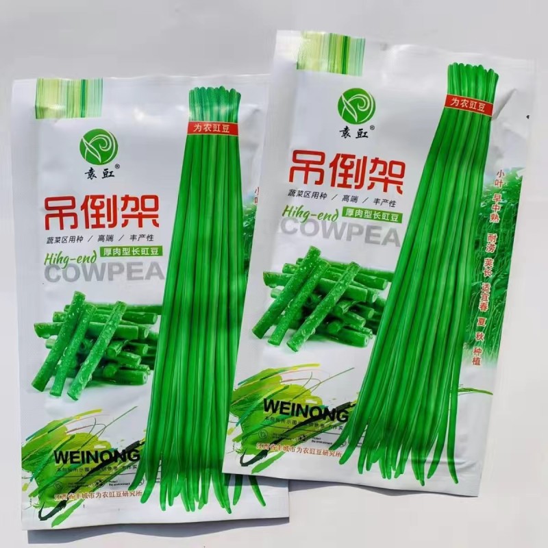 挂满架豆角种子厚肉型长豇豆种子荚翠绿色荚长荚多长豆角蔬子