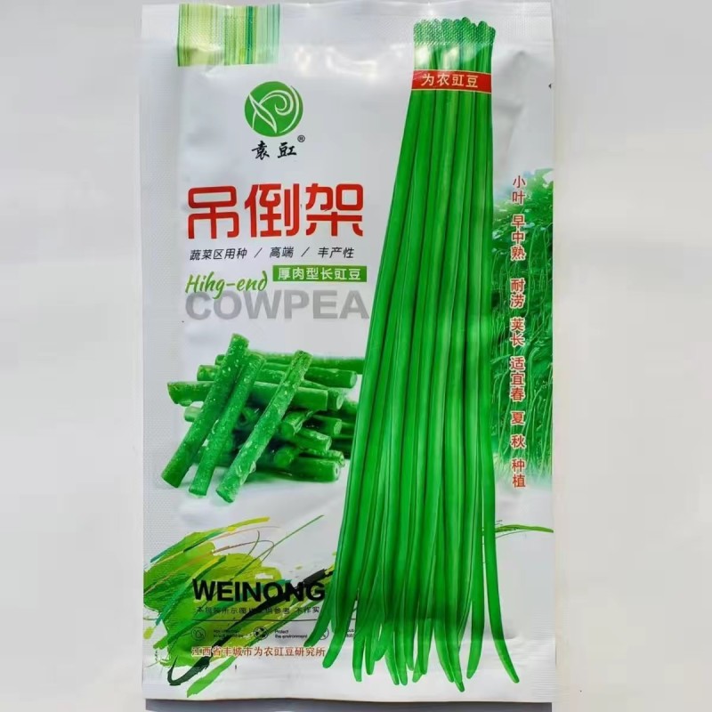 吊倒架豆角种子厚肉型长豇豆种子荚嫩绿色荚长荚多长豆角蔬子
