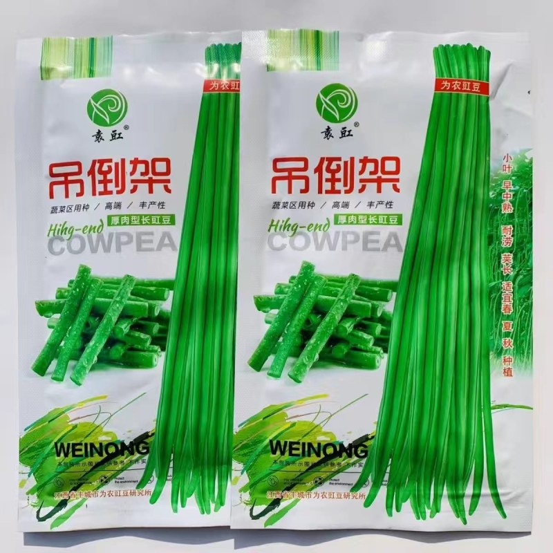 吊倒架豆角种子厚肉型长豇豆种子荚嫩绿色荚长荚多长豆角蔬子