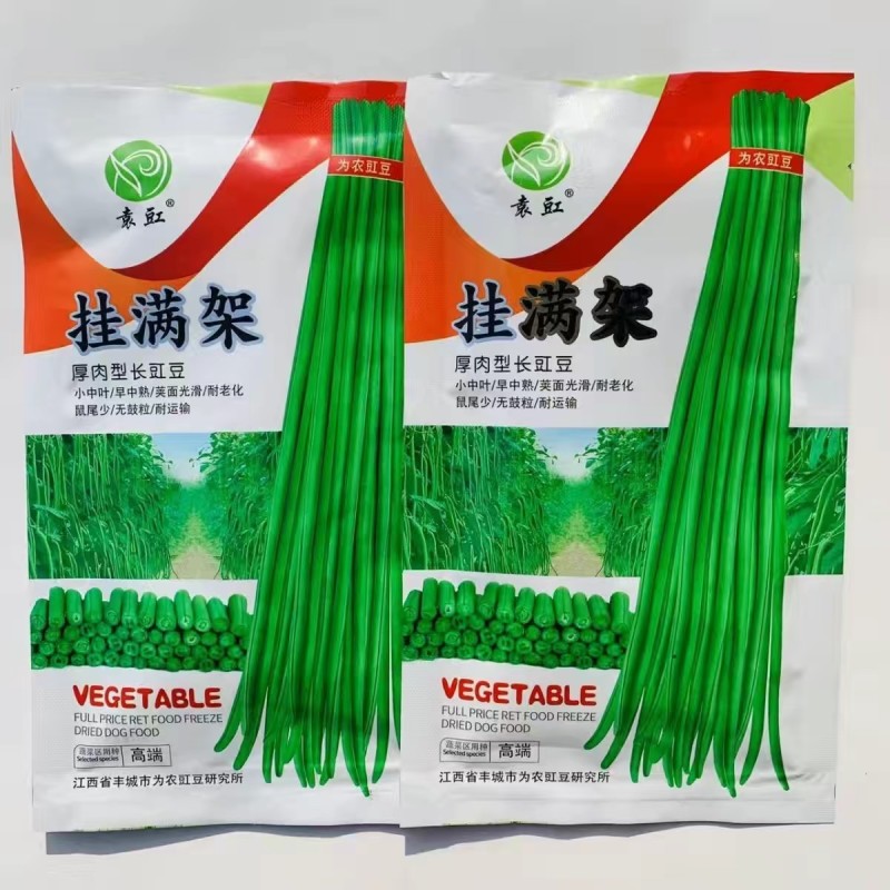 吊倒架豆角种子厚肉型长豇豆种子荚嫩绿色荚长荚多长豆角蔬子