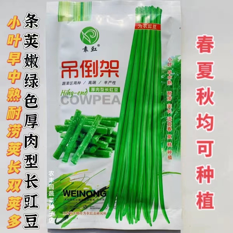 吊倒架豆角种子厚肉型长豇豆种子荚嫩绿色荚长荚多长豆角蔬子