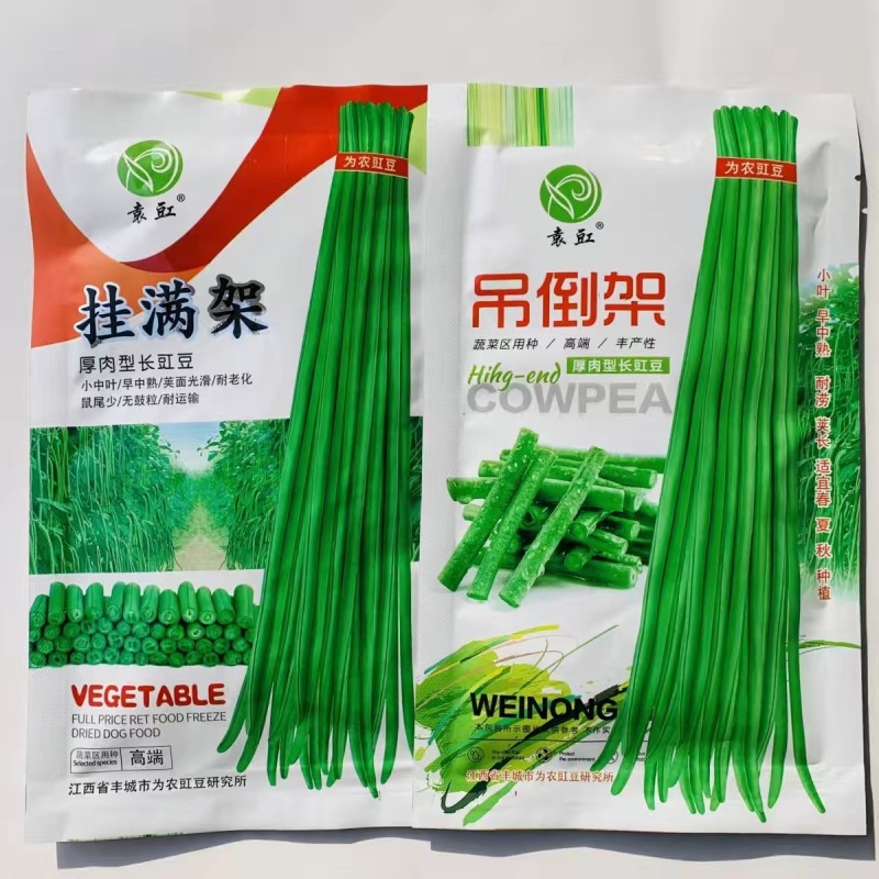 吊倒架豆角种子厚肉型长豇豆种子荚嫩绿色荚长荚多长豆角蔬子