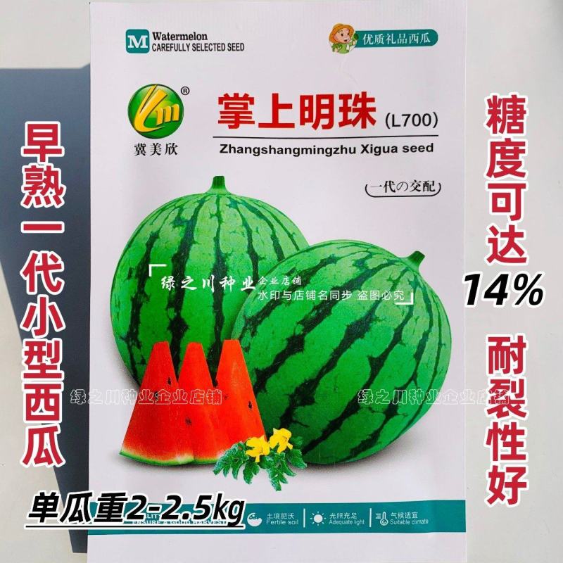 掌上明珠小型礼品西瓜种子超甜冰糖王子甜度高早熟礼品瓜种子
