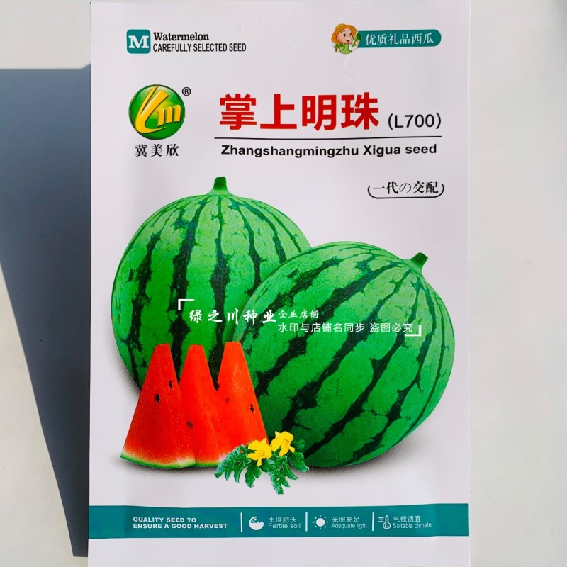 掌上明珠小型礼品西瓜种子超甜冰糖王子甜度高早熟礼品瓜种子