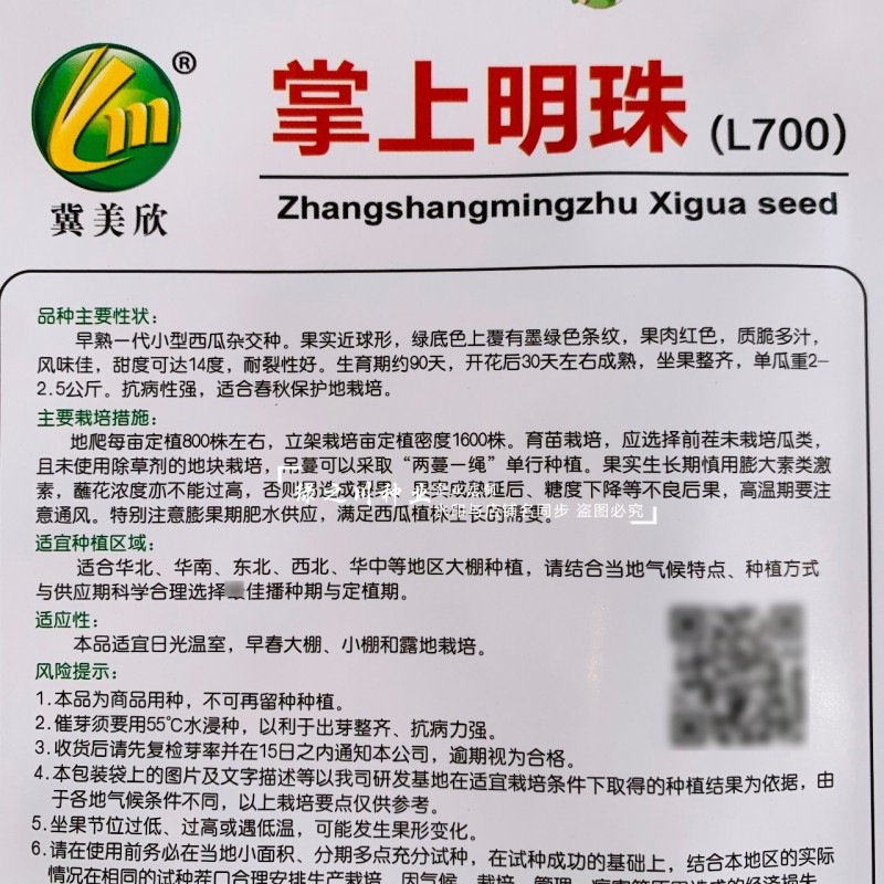 掌上明珠小型礼品西瓜种子超甜冰糖王子甜度高早熟礼品瓜种子