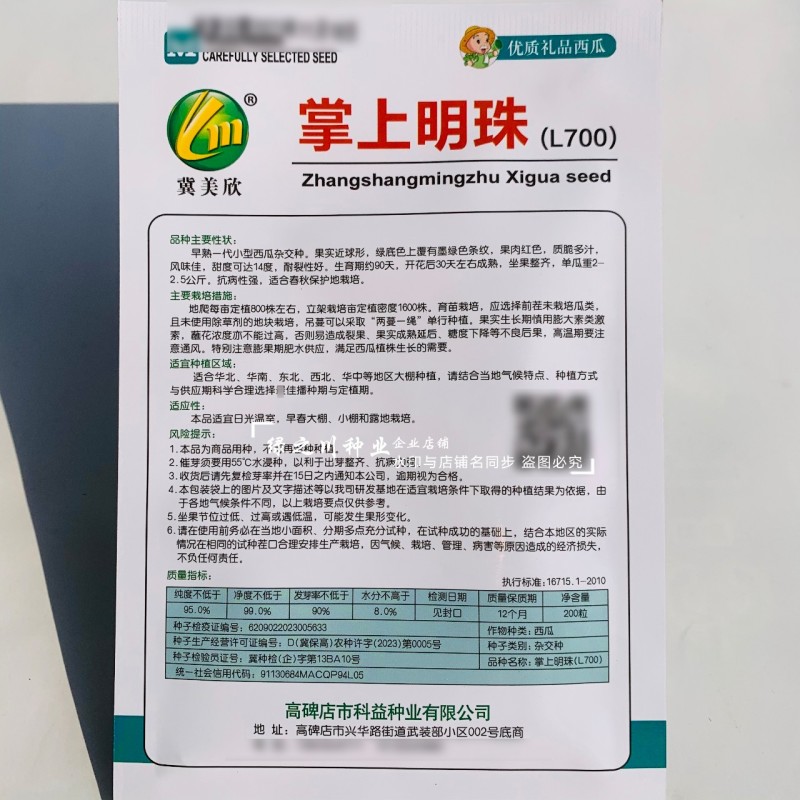 掌上明珠小型礼品西瓜种子超甜冰糖王子甜度高早熟礼品瓜种子