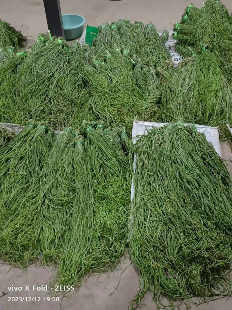【精选】贡菜干贡菜产地直发货源充足全国接单量大优惠