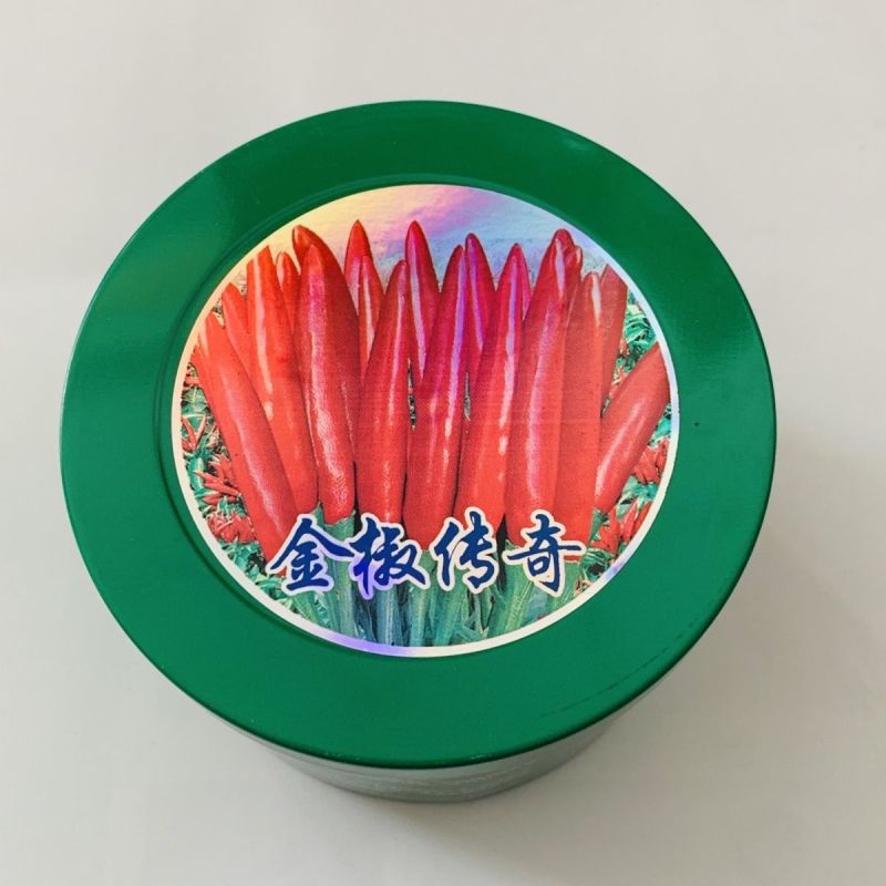 金椒传奇朝天椒种子早熟大果高产簇生朝天椒种子特抗病抗涝辣