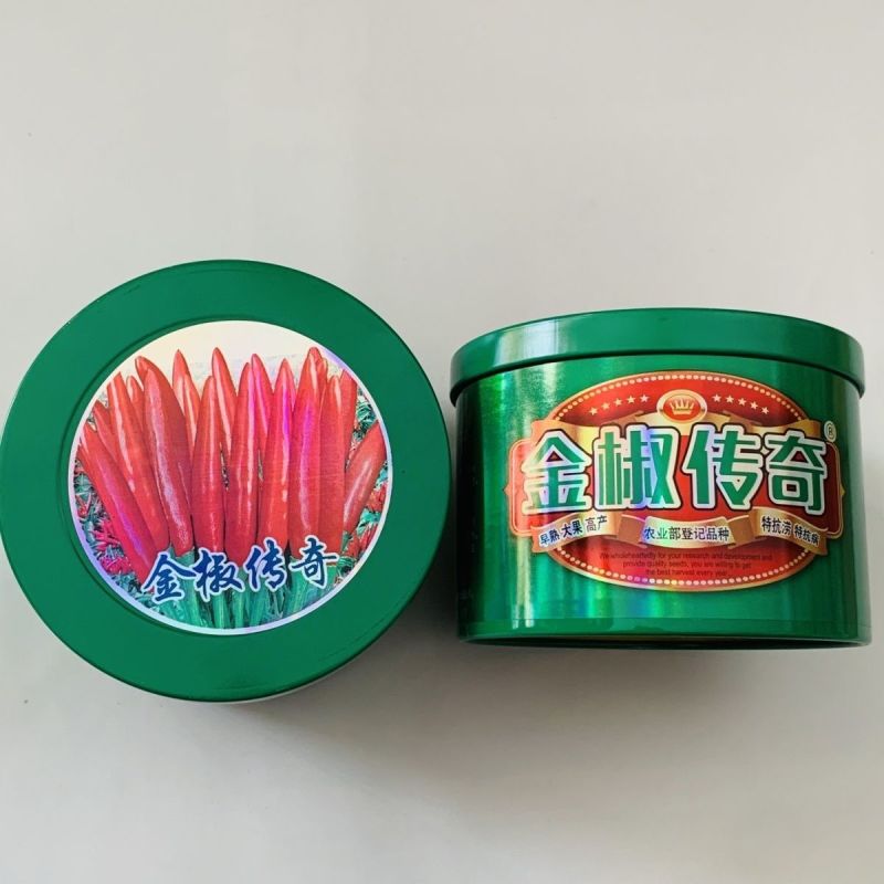 金椒传奇朝天椒种子早熟大果高产簇生朝天椒种子特抗病抗涝辣