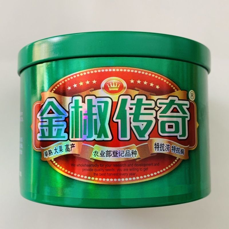 金椒传奇朝天椒种子早熟大果高产簇生朝天椒种子特抗病抗涝辣