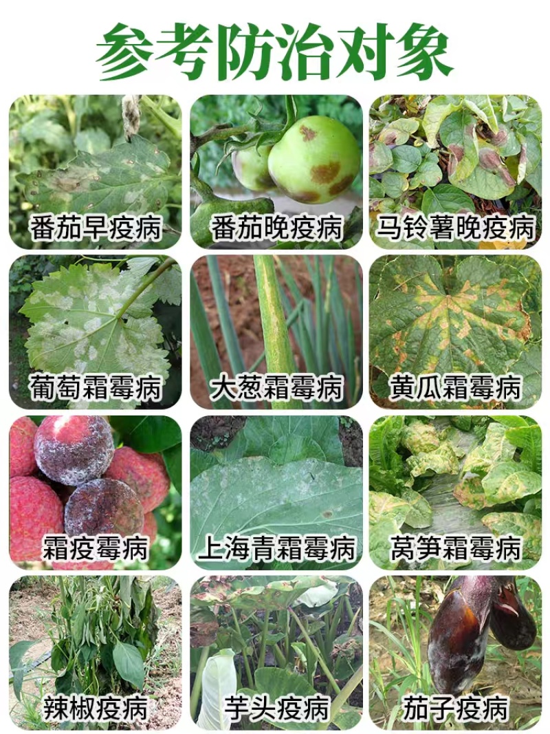 15%氟吡菌胺精甲霜灵马铃薯辣椒西红柿晚疫病杀菌剂