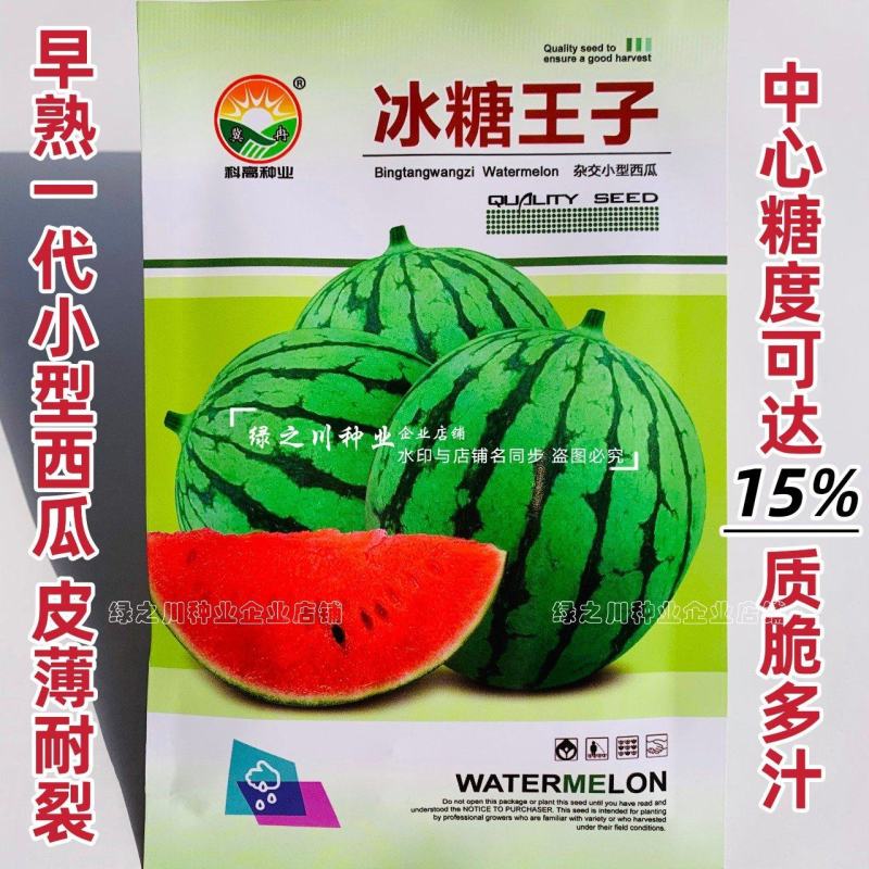 科高冰糖王子西瓜种子超甜耐裂礼品西瓜种子早熟杂交小型西瓜