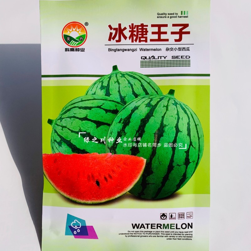 科高冰糖王子西瓜种子超甜耐裂礼品西瓜种子早熟杂交小型西瓜