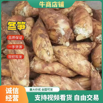 安徽春笋自家基地种植一手货源全年供应欢迎咨询