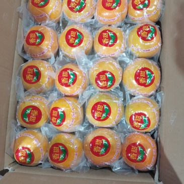 广西脆柿，柿饼，