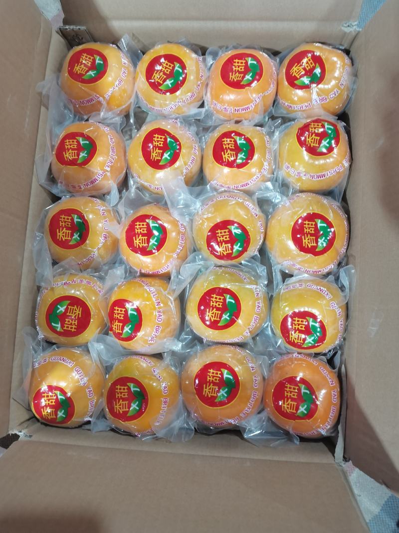 广西脆柿，柿饼，