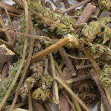荆芥咀荆芥穗全荆芥全荆芥咀荆芥砠