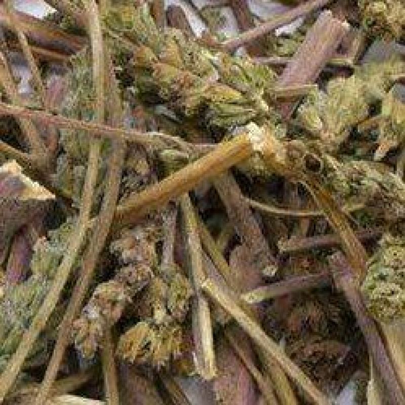 荆芥咀荆芥穗全荆芥全荆芥咀荆芥砠