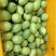 【精品】香水柠檬，广西梧州产地直供质量保证，茶饮专用