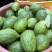 【精品】香水柠檬，广西梧州产地直供质量保证，茶饮专用