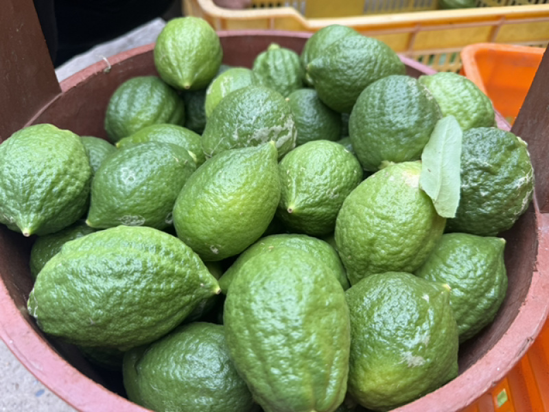【精品】香水柠檬，广西梧州产地直供质量保证，茶饮专用