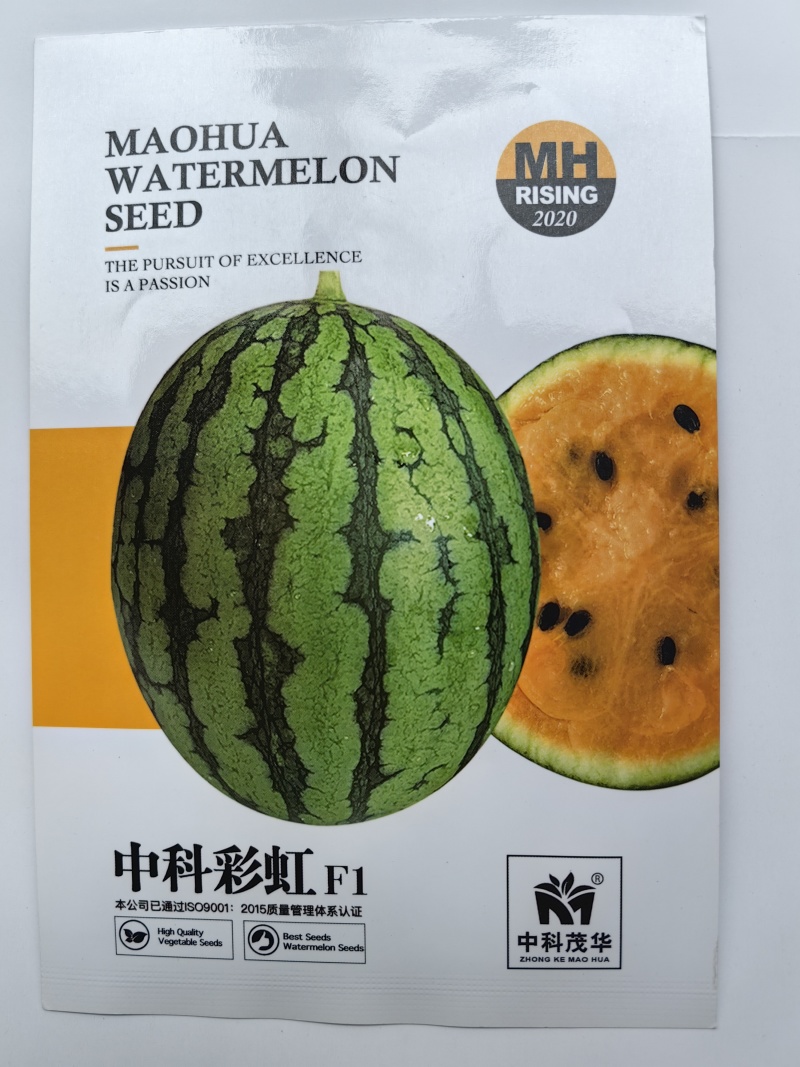 中科彩虹瓜西瓜种子礼品西瓜橙黄瓤橘肉皮薄冰淇淋口感西瓜种