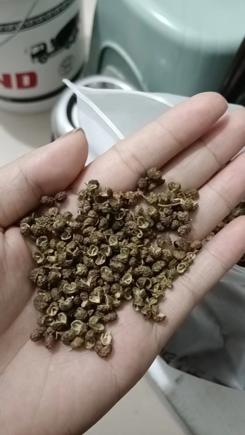 精品青花椒，颜色好质量优，常年供应，郑州。欢迎进店选购