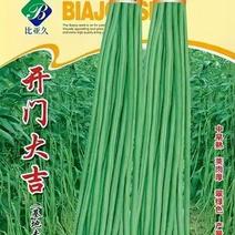 豇豆种子开门大吉翠绿色荚肉厚顺直80厘米长产量高抗病
