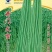 豇豆种子开门大吉翠绿色荚肉厚顺直80厘米长产量高抗病
