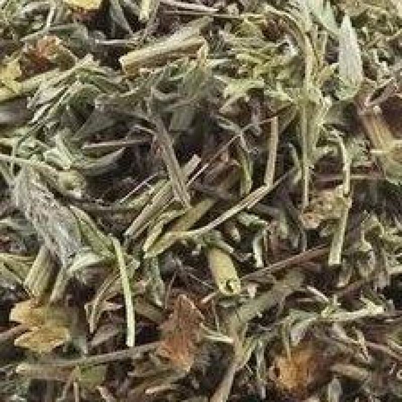 翻白草委陵菜根头菜野鸠旁花黄州白头翁龙牙草