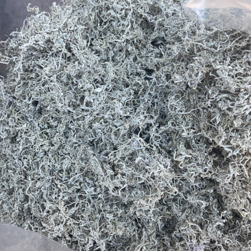 特级芽尖莓茶